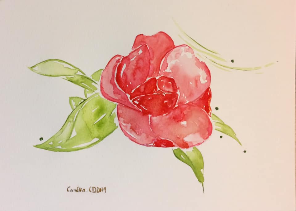 Camelia