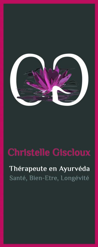 CARTE DE VISITE CGISCLOUX