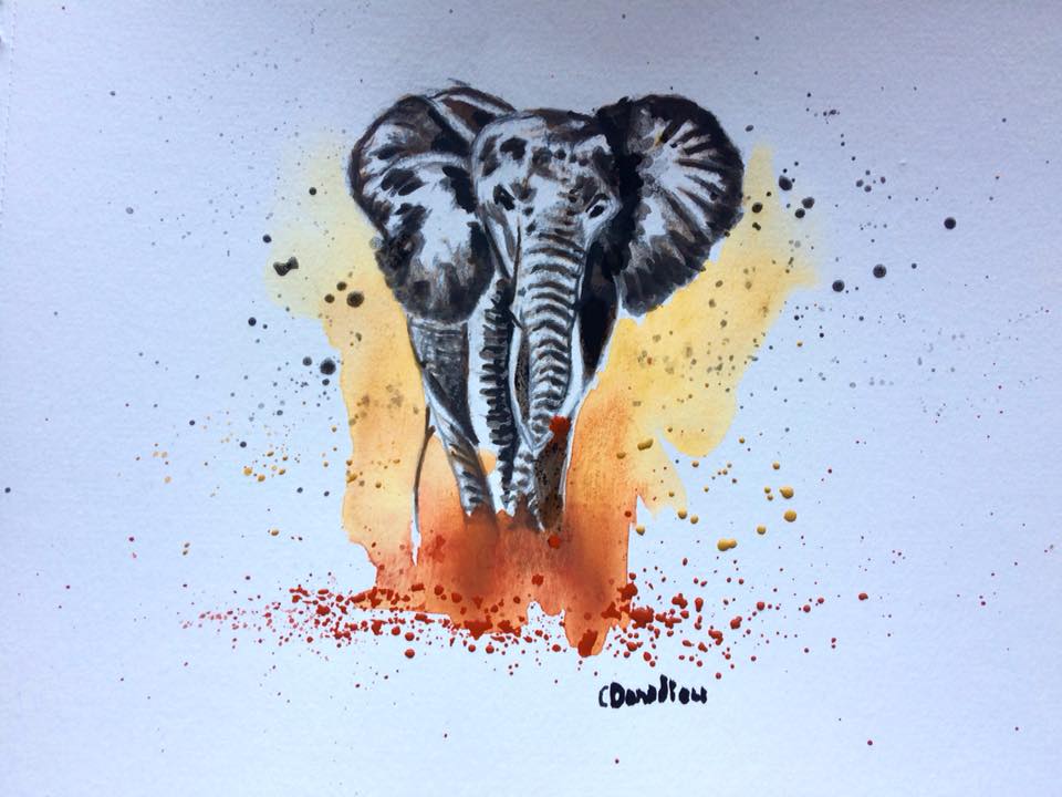 Elephant