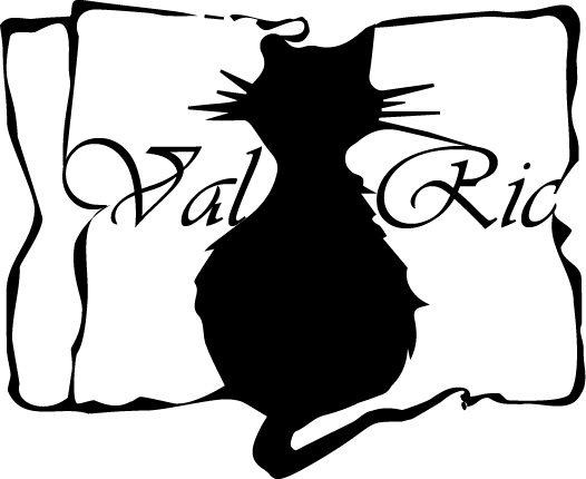 Logo VALRIC LLC NEW YORK